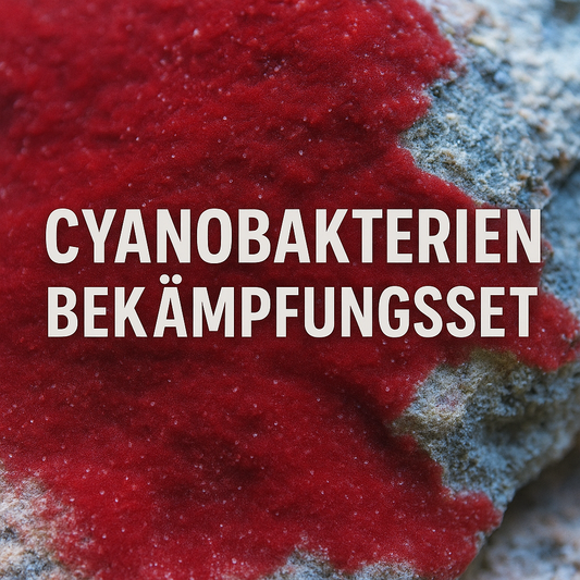 Anti-Cyano Set XL – ab 300 Liter