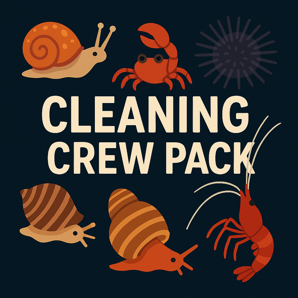 🪸 S – Cleaning Crew – bis 100 L